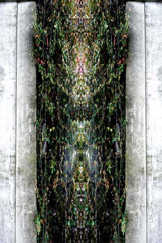 plastic bag_edemonchaux