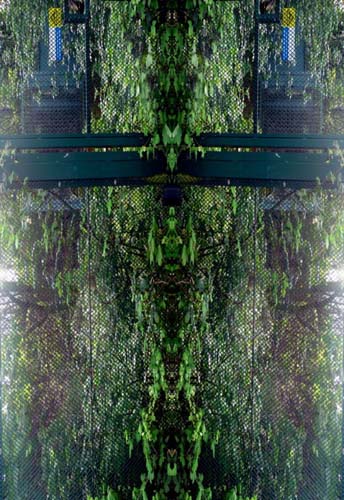 wire_edemonchaux