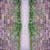 uglybricks_E_de_Monc#C3542D